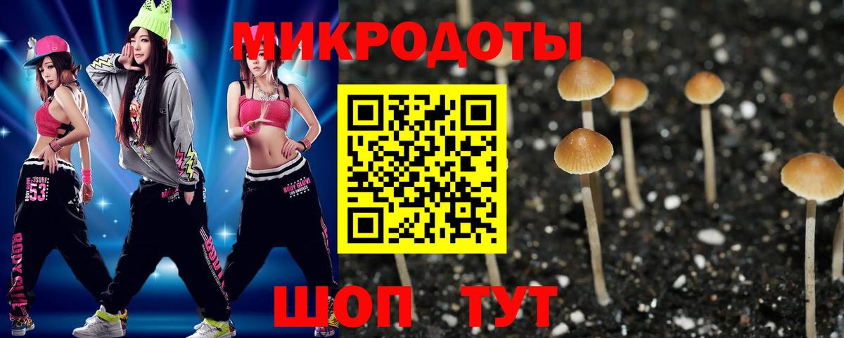Псилоцибиновые грибы MAGIC MUSHROOMS Абакан