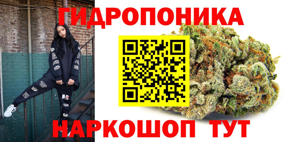 Конопля OG Kush Абакан
